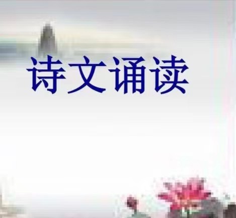 《立秋，凝望一朵花流泪》作者:龚小猪【主播:金牌主播:知语】[桃源♬ 馨声]（图4）