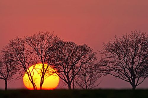 【经典推荐】伍玉龙老师//七律•杂感（图5）