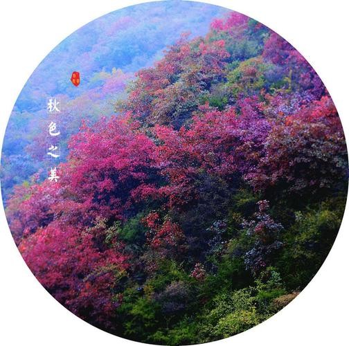 【经典推荐】化忠//秋凉｛秋韵作品展｝（图3）