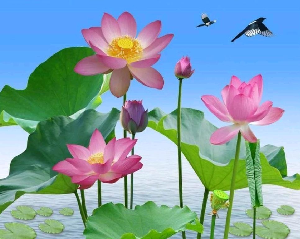 风雅诗社·三十期·格律篇（图10）