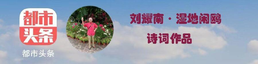 中华诗艺社黑龙江分社/诗人刘耀南:水调歌头·咏菊（图2）