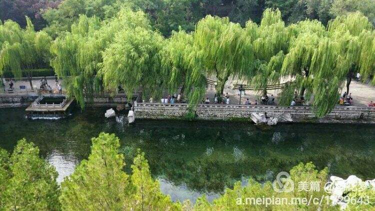 〔诗词小辑四〕作者 齐宪(哈尔滨)【冰心文化传媒】主编 冰心（图12）