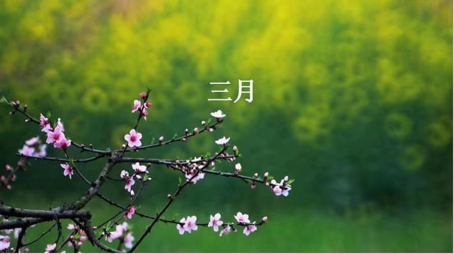 【中国长江文学社】有声文学平台《长长的三月》作者/高海涛 诵读周圣凯制作宋梅【第4286期】(图6)