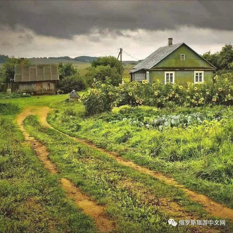 【中国长江文学社】有声文学平台《长长的三月》作者/高海涛 诵读周圣凯制作宋梅【第4286期】(图10)