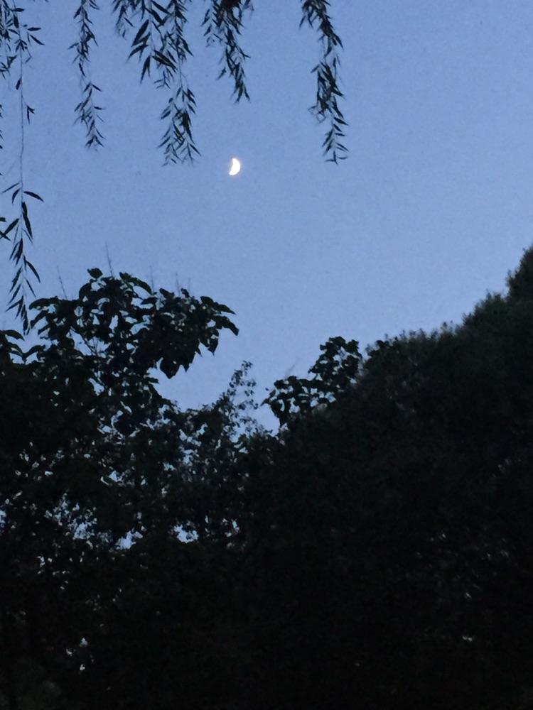 秋夜