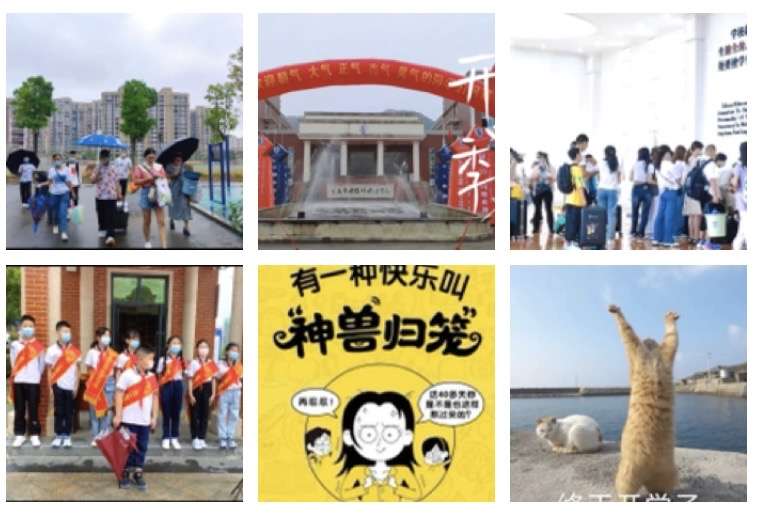 〔诗词小辑〕文/风鸽（张晓峰）【冰心文化传媒】（图3）