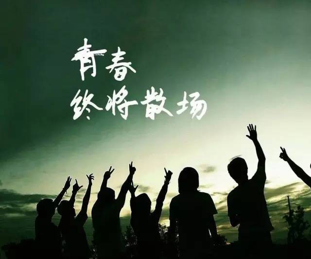 《青春》作者:老厨【主播:金牌主播:鹏鹤】【桃源国际诗歌集团】[桃源♬ 馨声]（图6）