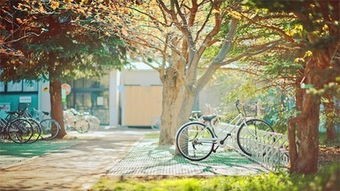 《青春》作者:老厨【主播:金牌主播:鹏鹤】【桃源国际诗歌集团】[桃源♬ 馨声]（图7）