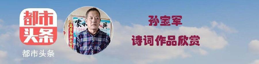 中华诗艺社黑龙江分社/孙宝军:越调·天净沙·寂夜(外三首)(图2)