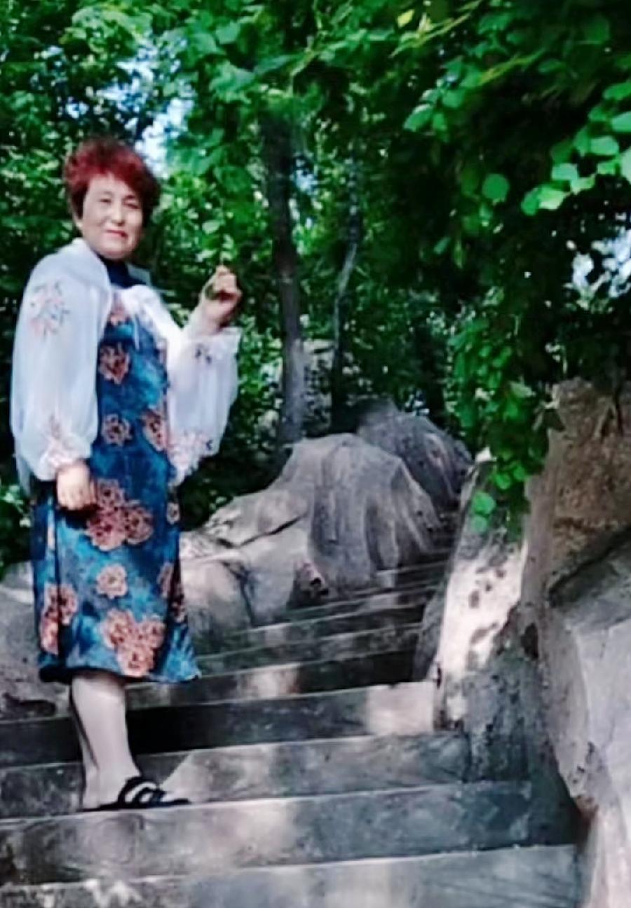 中华诗艺社五年庆诞特辑/徐淑芳:贺中华诗艺社五周年庆典（新韵）（图4）