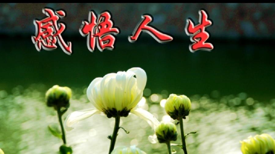 《名家专刊》《书乐先生作品欣赏》【九江文学社】（图2）