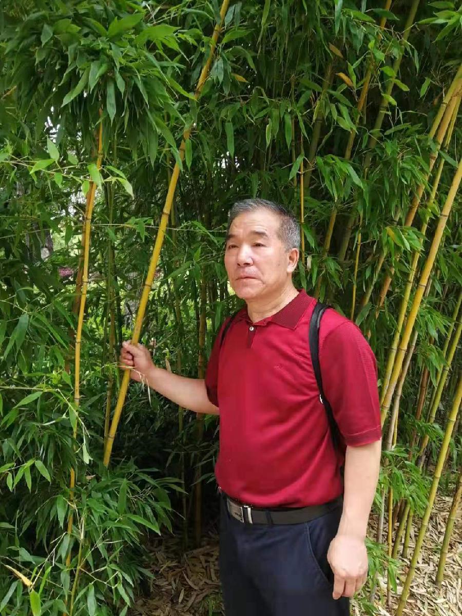鹤祥咏竹
