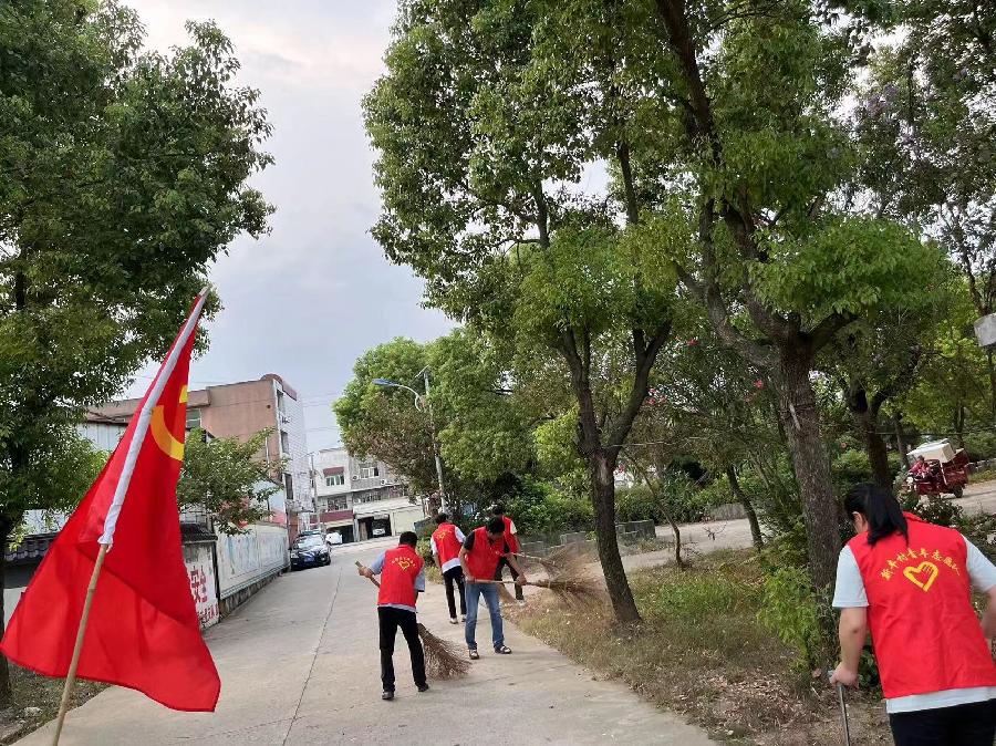大渡口镇新丰村:党建引领人居环境整治 奏响美丽乡村赞歌(图5)