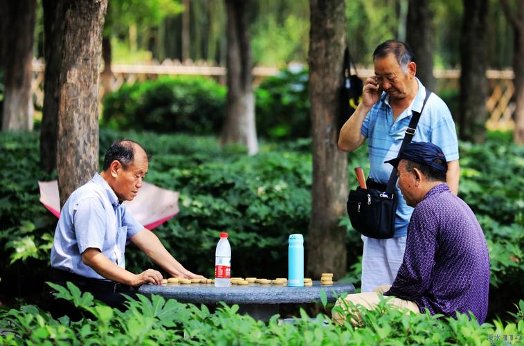 七律·观棋/李守春(辽宁营口）