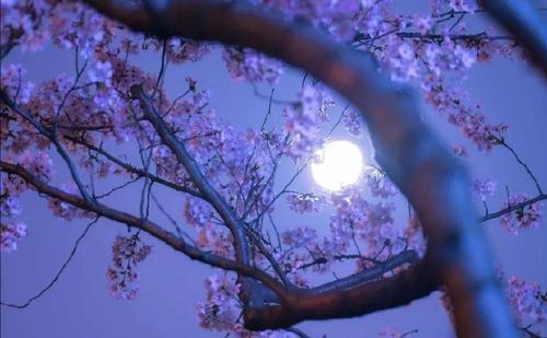 现代诗:勇气/文/诗缘(图2)