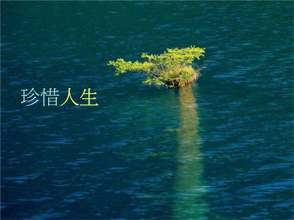 〖诗歌专辑六〗文/程宝玉（内蒙古）【冰心文化传媒】主编冰心（图32）