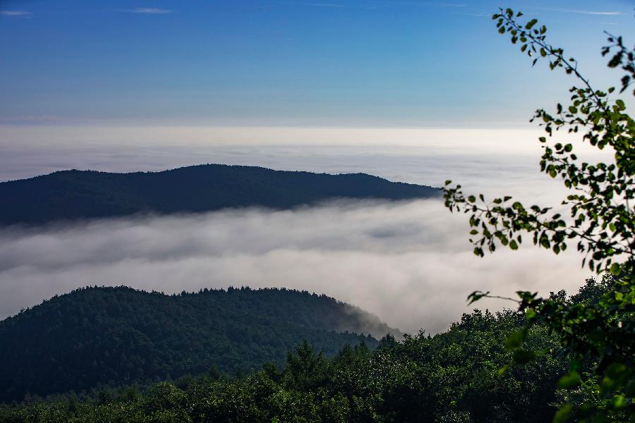 中华诗艺社黑龙江分社/赵旭岩原创摄影:云海（图15）