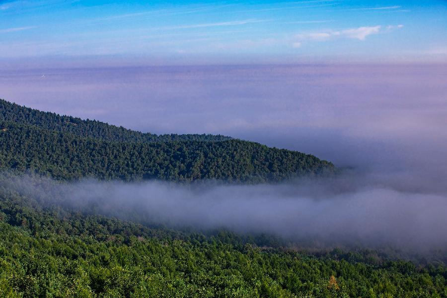 中华诗艺社黑龙江分社/赵旭岩原创摄影:云海（图16）