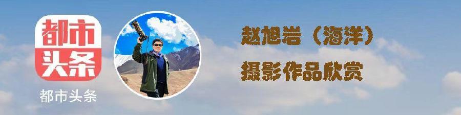 中华诗艺社黑龙江分社/赵旭岩原创摄影:云海（图2）