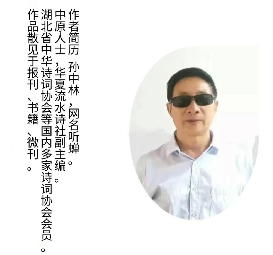 【听蝉】2022听蝉诗词专辑(十)(图17)
