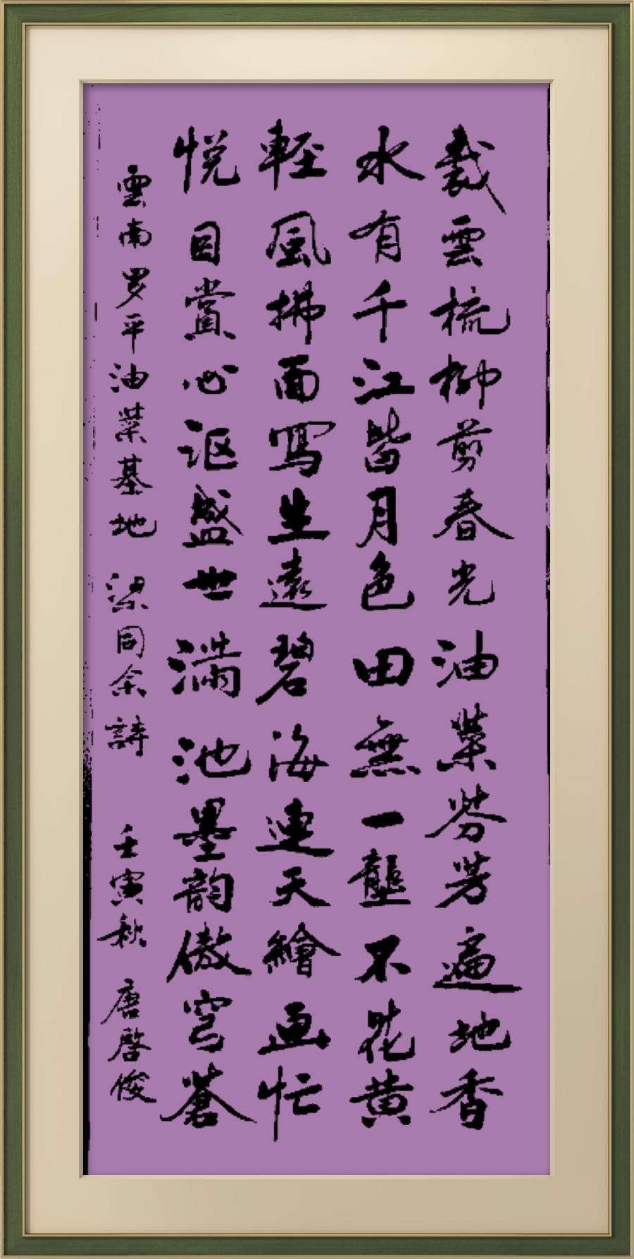 星火诗社梁同余九十四期个人专辑《百景生辉,百诗增色》(图100)