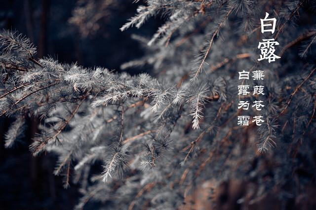 【枫雅汇看图约诗】诗人陈江《175期》(九月)(图4)