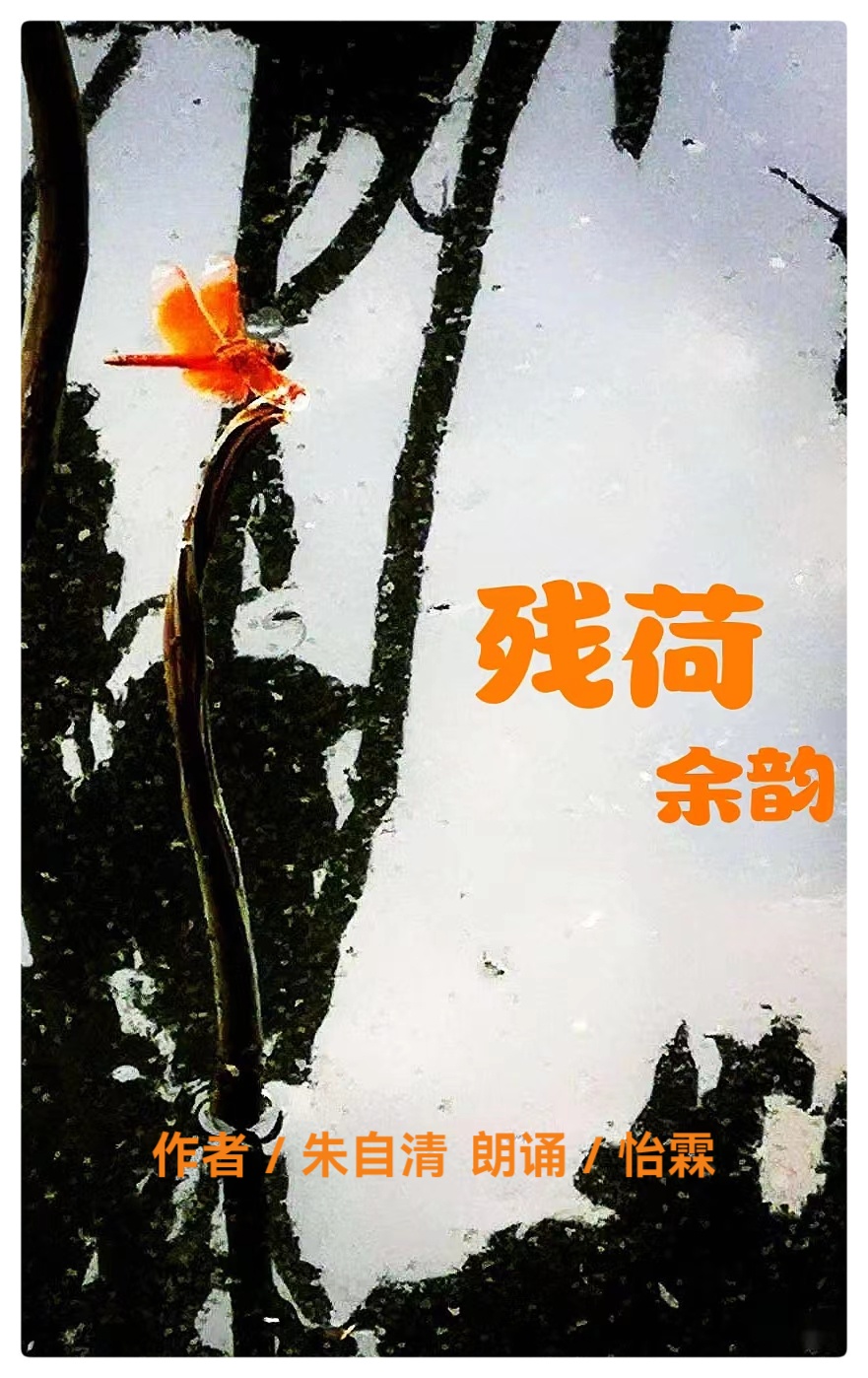 一池残荷如诗画,残花风骨绽余辉||朱自清作品《残荷.余韵》怡霖朗诵(图2)