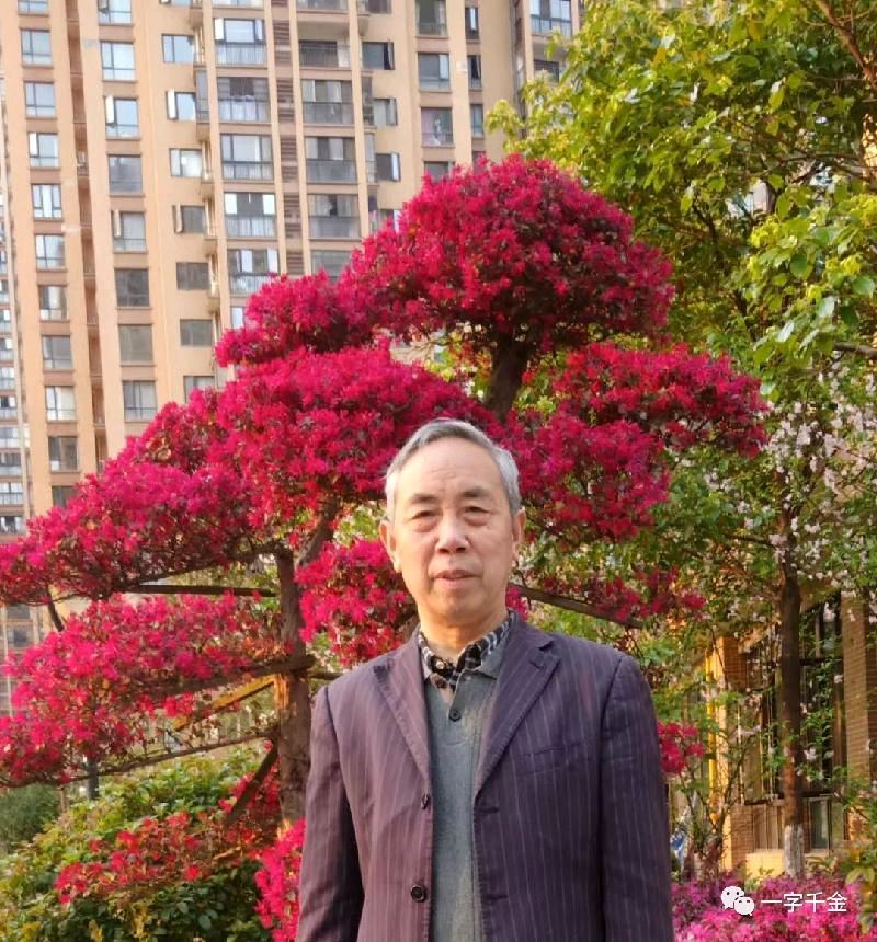 致敬！石板上的勇士 文/晓风 京津沪头条（图3）