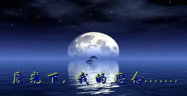 【小丽花电台】中秋专辑《指尖泛滥深情万种》作者迷恋深秋 主播小丽花编辑制作刘林丽(图3)