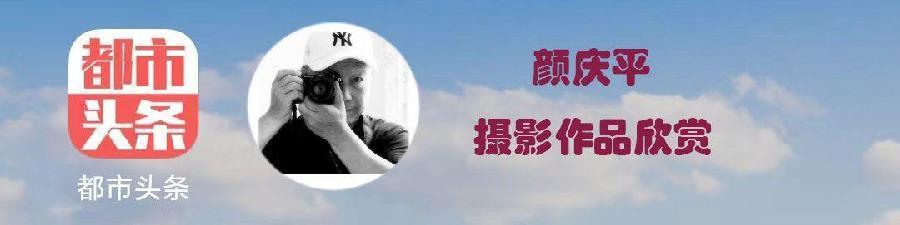 中华诗艺社黑龙江分社/颜庆平(镜为自然)车展人像原创摄影欣赏（图2）