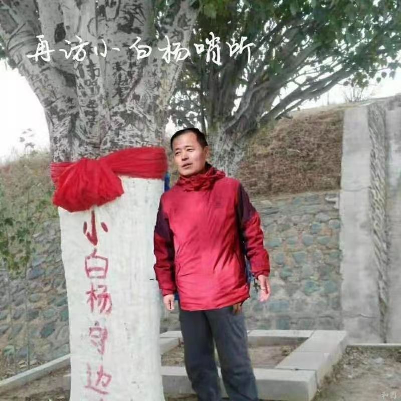 中华诗艺社黑龙江分社/段清华:军旗永远在心中飘扬(图28)