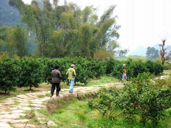 中华诗艺社黑龙江分社/段清华精选军旅乡情诗10首（图5）