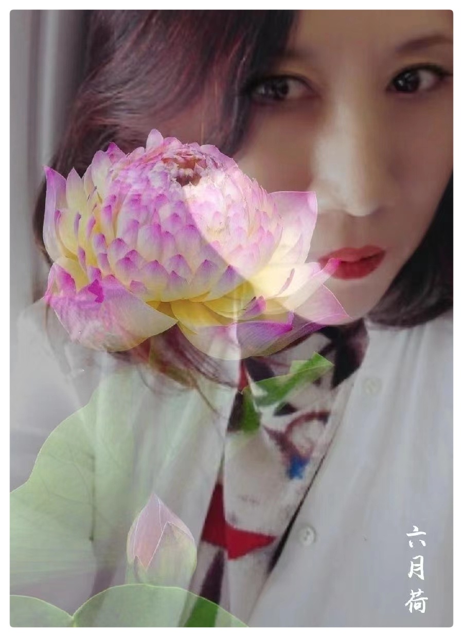 若我是莲花 遗世而独立||六月荷作品《莲》怡霖朗诵（图9）