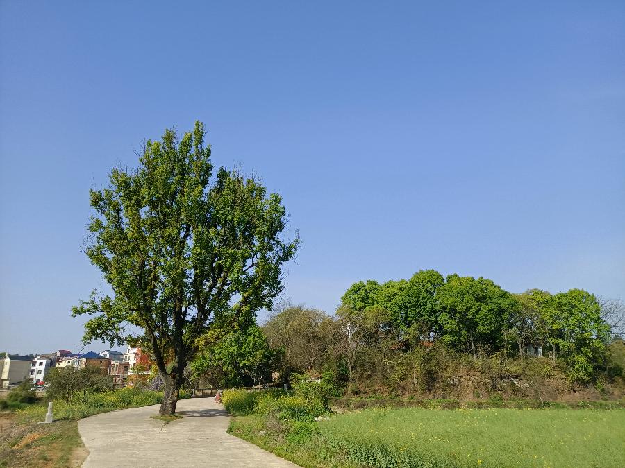 欣赏佳作 七绝·漳溪村文化中心竣工抒怀 作者:无为居士(吴发生)（图2）