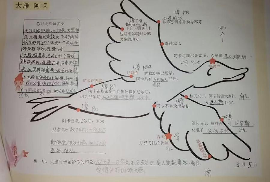 南和区幸福小学：阅读伴我行 “暑”香共成长——暑假学生读书活动（图9）