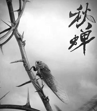 【枫雅汇看图约诗】第251期《咏秋》（图12）