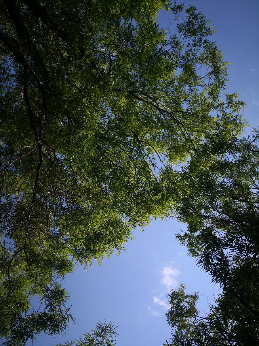 计德辉诗词三十首(图9)