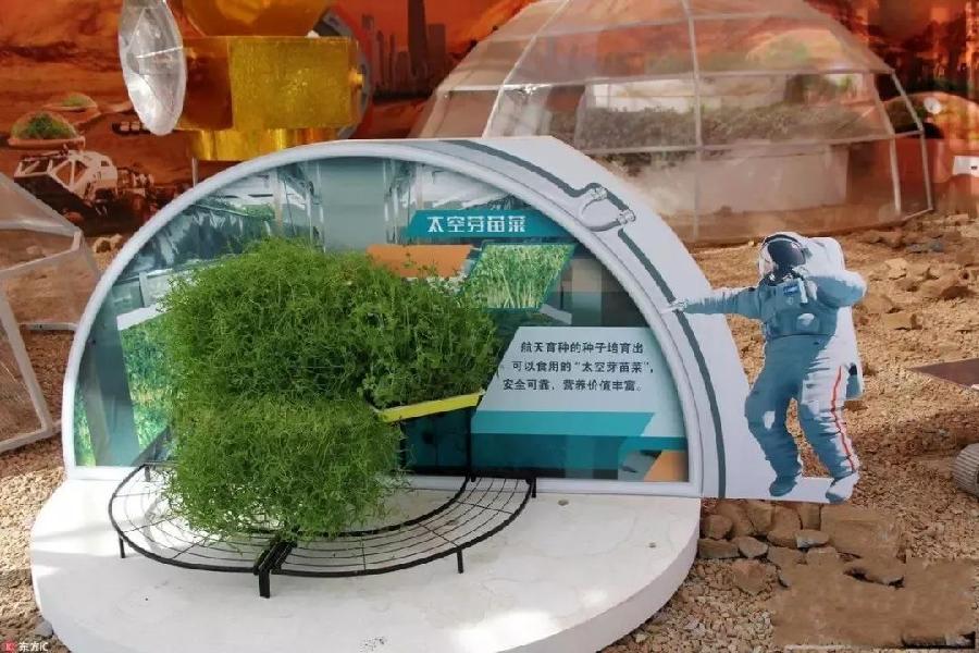 中华诗艺社黑龙江分社/郑占荣(河北唐山):鹧鸪天·品秋(新韵)(外三首)(图5)