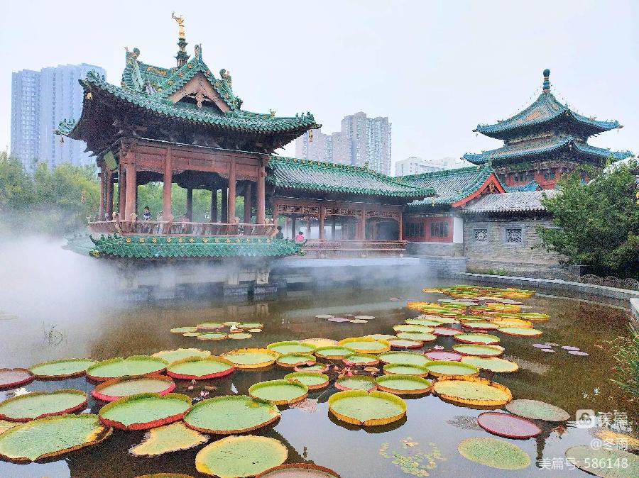 【北京头条】分享高文庆《秋游寄友》外两首请欣赏（图6）