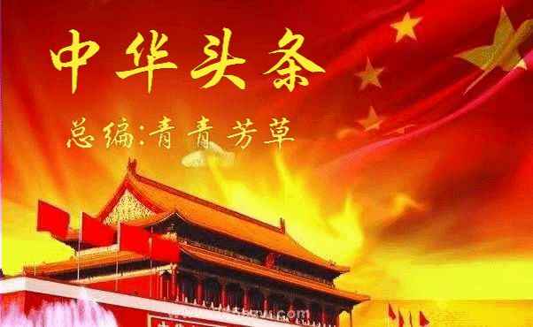 题图-通商口岸贸易频 文/小茶一丛（图8）