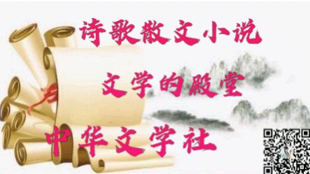 题图-通商口岸贸易频 文/小茶一丛（图9）