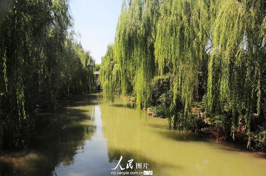 《八月的留白》作者:穆女【诵读:金牌主播:简单生活】【桃源国际诗歌集团】[桃源♬ 馨声]（图10）