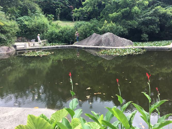 七律 鹭岛初秋/文 / 亚热