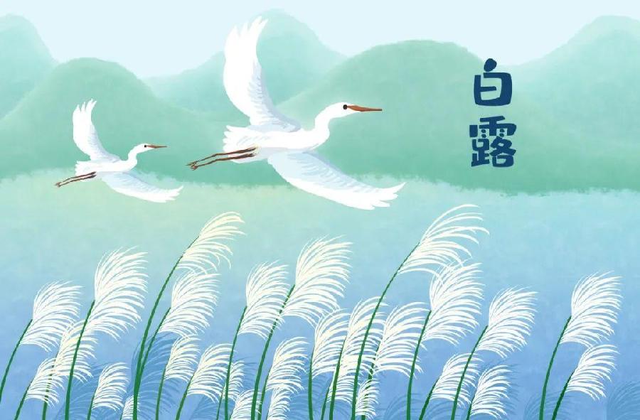 七律*白露 王清义（辽宁沈阳）