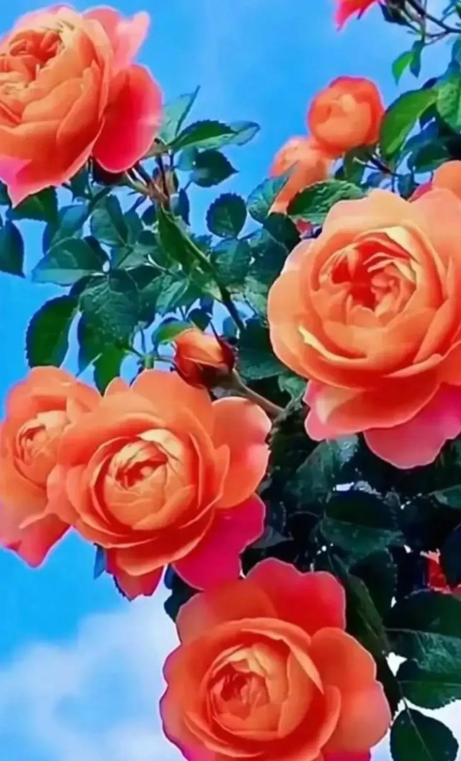 【华夏名篇】分享陈天堂组诗请群欣赏（图13）