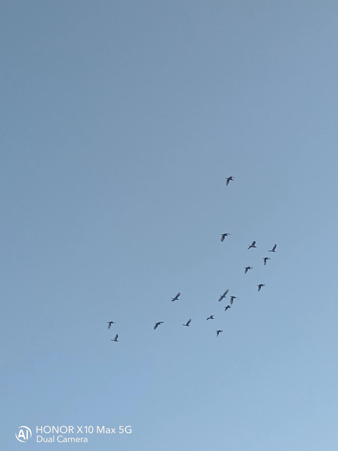 190403525.jpg 190403525.jpg