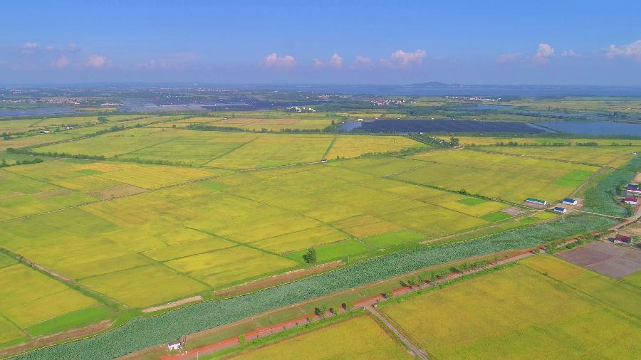 欣赏佳作 清平乐(李白体)·新城秋景 作者:邓玉文（图3）