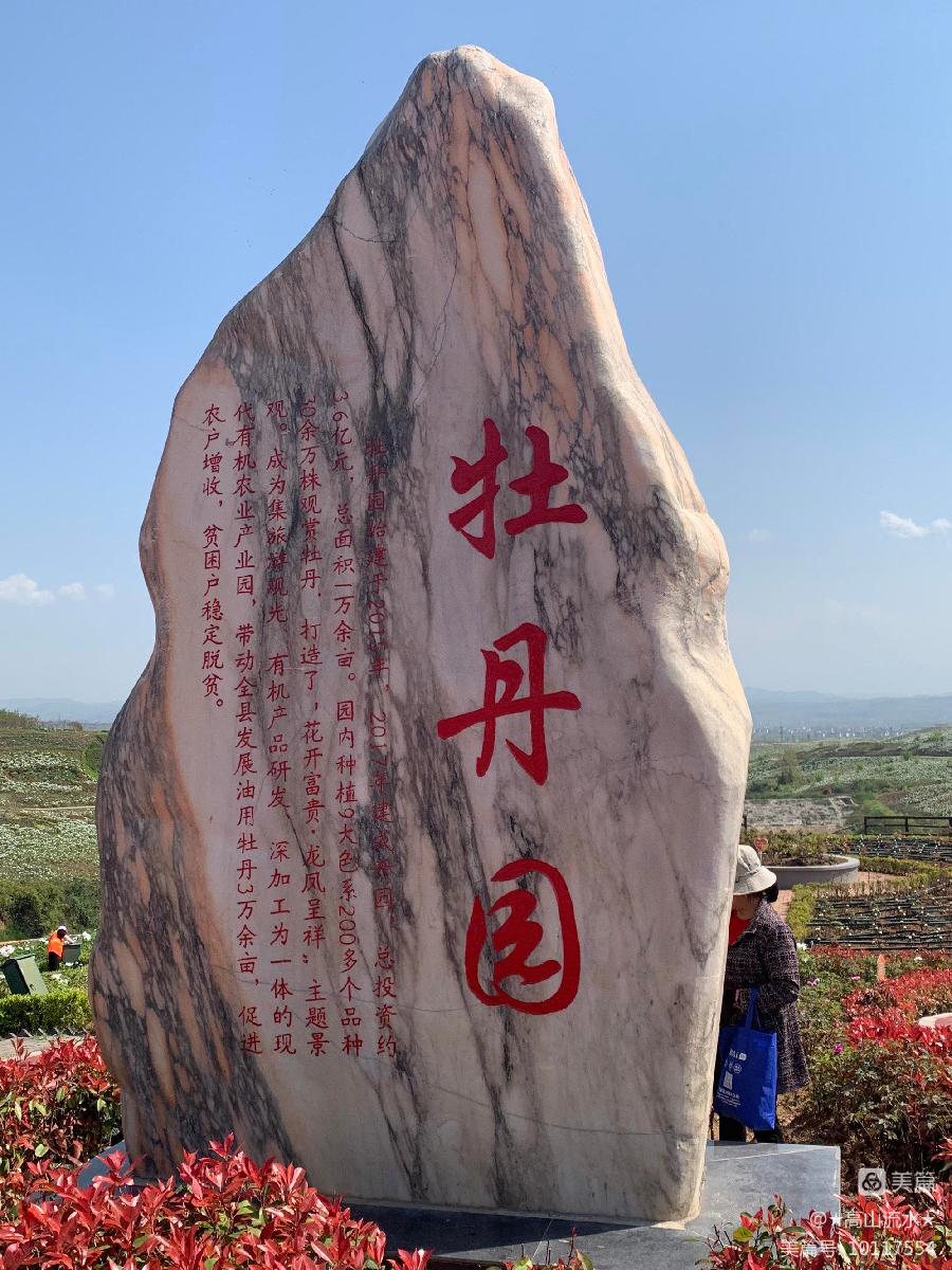 中华诗艺社黑龙江分社/【原创】冯世荣:同游芳草地 共赏牡丹园(图4)