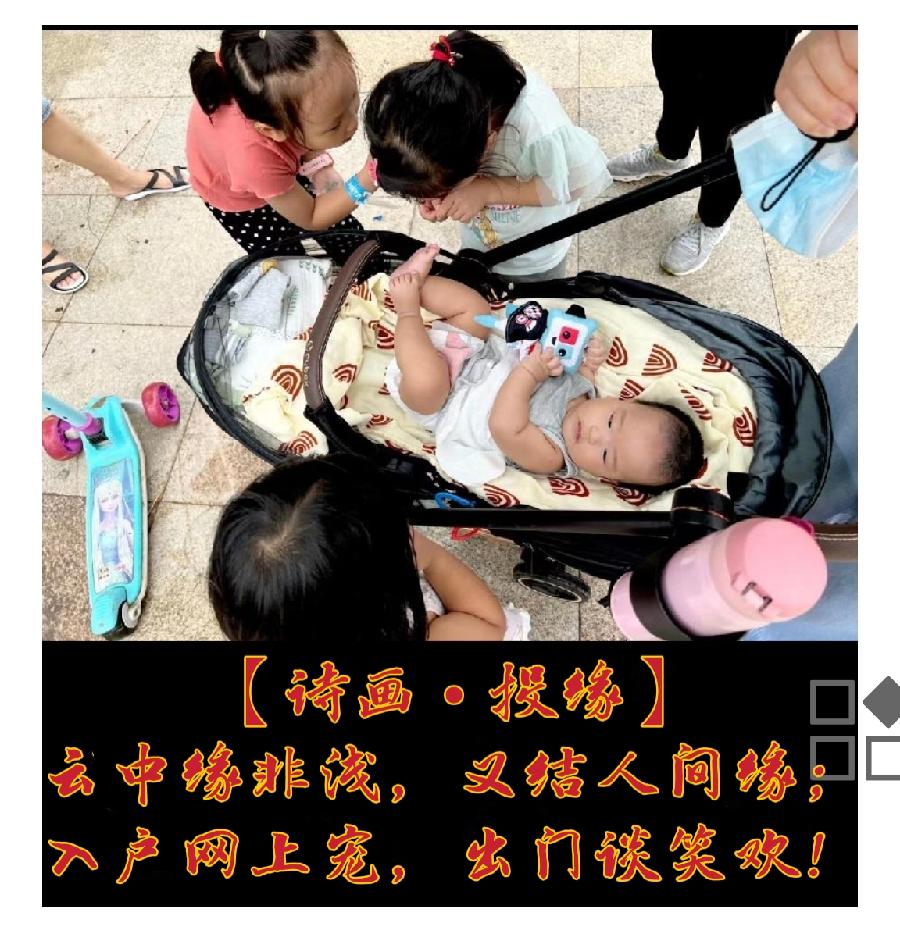 【诗画•宝娃写意】十首