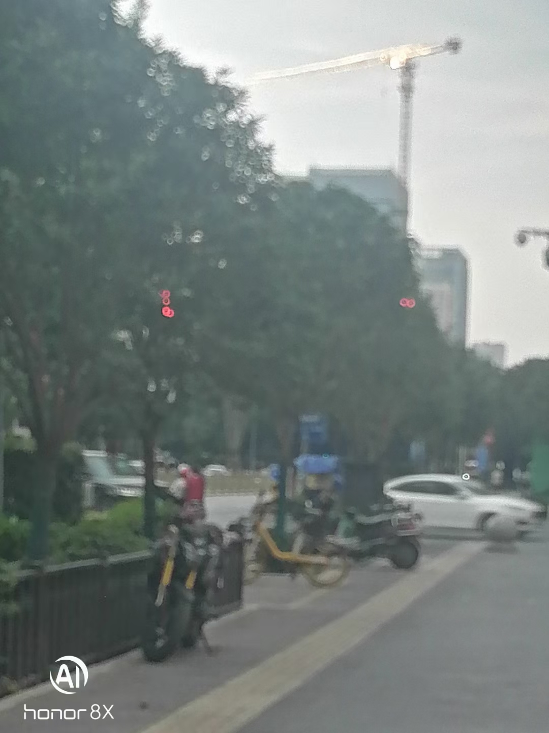 〔诗歌小辑〕作者 孤独与快乐（陕西）【冰心文化传媒】（图6）